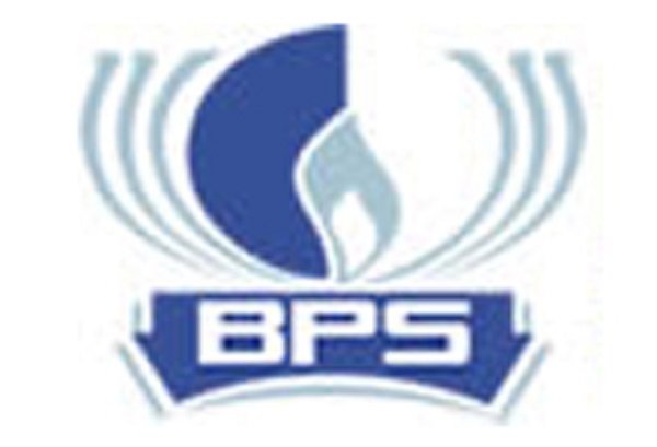 Bhandari Public School